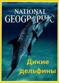 Дикие дельфины