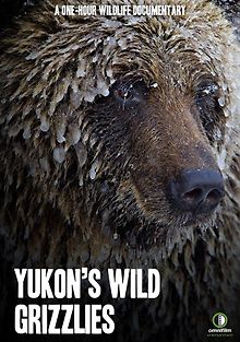 Дикие гризли Юкона