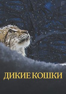Дикие кошки