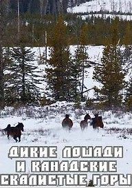 Дикие лошади и Канадские Скалистые горы