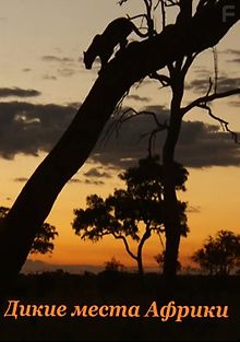 Дикие места Африки. Битва полов