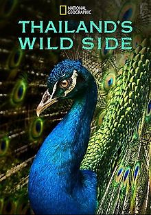 Дикие места Таиланда