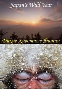 Дикие животные Японии