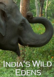 Дикий рай Индии