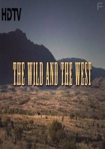 Дикий запад. Кино и реальность