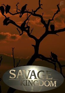 Дикое королевство