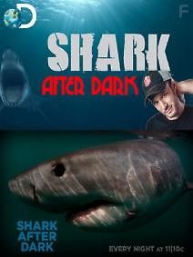 Discovery: Акулы под покровом темноты