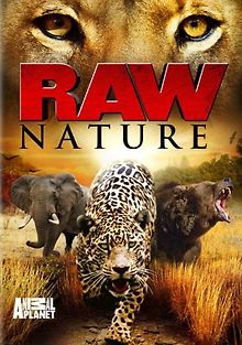 Discovery. Дикая природа