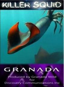 Discovery. Кальмар-убийца