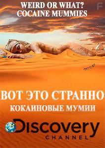 Discovery. Вот это странно (Кокаиновые мумии)
