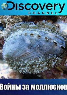 Discovery. Войны за моллюсков