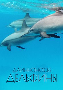 Длинноносые дельфины