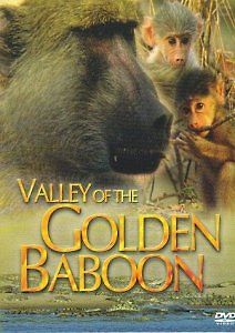 Долина золотого павиана
