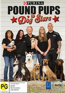 Дорога из приюта