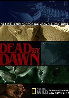 Дожить до рассвета