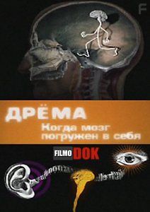 Дрёма. Когда мозг погружен в себя