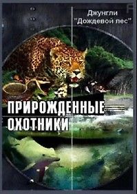 Джунгли. Дождевой лес