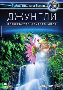 Джунгли - Магия другого мира