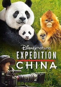 Экспедиция Китай