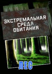 Экстремальная среда обитания. Лес