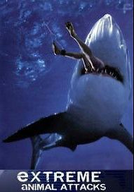 Экстремальные нападения животных