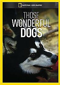 Эти удивительные собаки