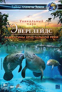 Эверглейдс 3D: Ламантины Кристальной реки