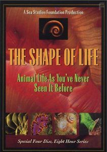 Форма Жизни