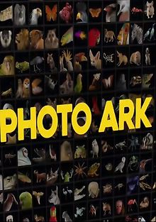 Фото-ковчег