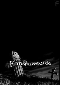 Франкенвини