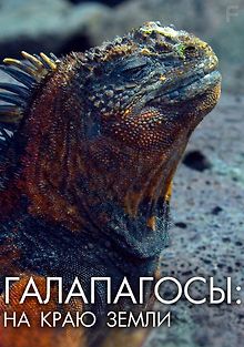 Галапагосы: На краю земли