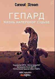 Гепард: жизнь наперекор судьбе