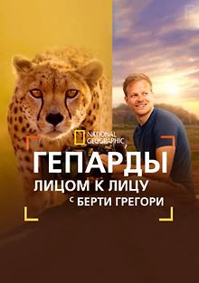 Гепарды: лицом к лицу с Берти Грегори