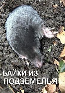 Байки из подземелья