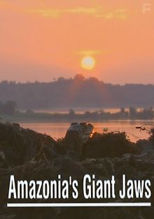 Гигантские челюсти Амазонии