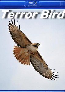 Гигантские чудовища. Ужасная птица
