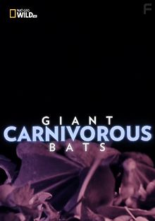 Гигантские плотоядные летучие мыши