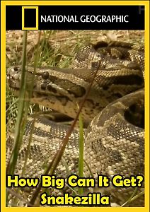 Гиганты мира животных. Самая большая змея