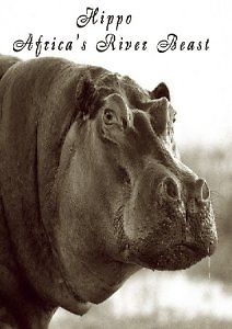 Гиппопотам: Речное Животное Африки