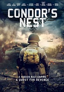 Гнездо Кондора