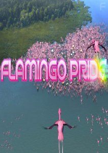 Гордость фламинго