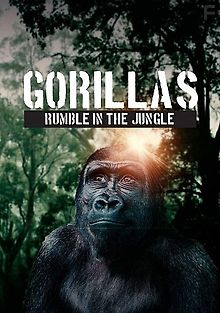Гориллы: разборки в джунглях