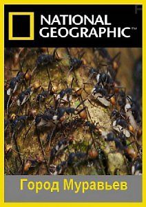 Город муравьёв