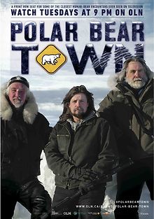 Городок полярных медведей