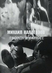 Гвоздь в сапоге