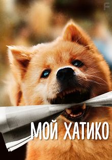 Мой Хатико