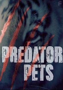 Хищные питомцы