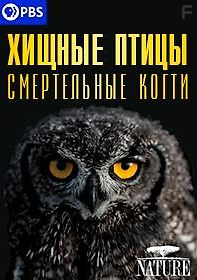 Хищные птицы. Смертельные когти