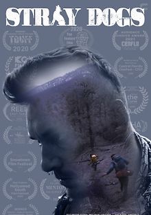 Бродячие псы