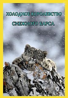 Холодное королевство снежного барса
